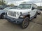 2020 Jeep Wrangler Unlimited Sport Black and Tan Edition