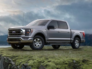 2021 Ford F-150 XLT Black Widow Package