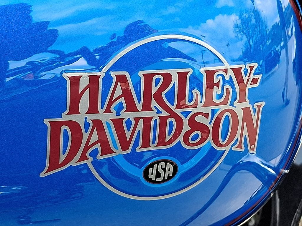 2004 Harley-Davidson FLHTCI Cruiser